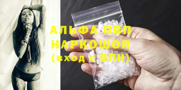 гидра Липки