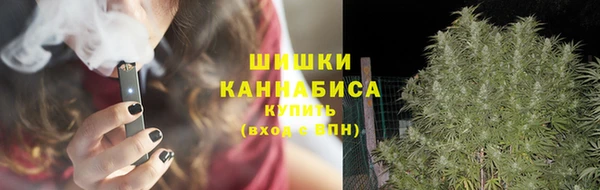 гидра Липки
