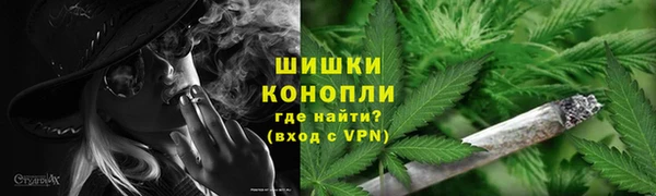 гидра Липки