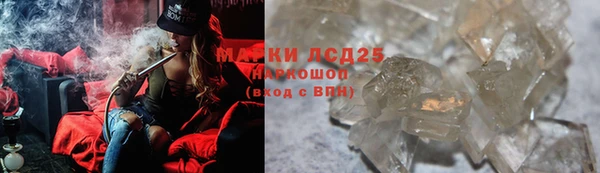 гидра Липки