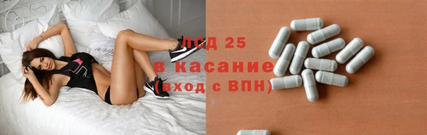 гидра Липки