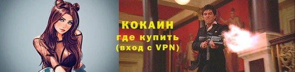ГАЛЛЮЦИНОГЕННЫЕ ГРИБЫ Апатиты