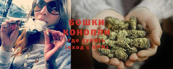 сатива Анива